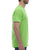 Gold Soft Touch T-Shirt - Lime | M&O